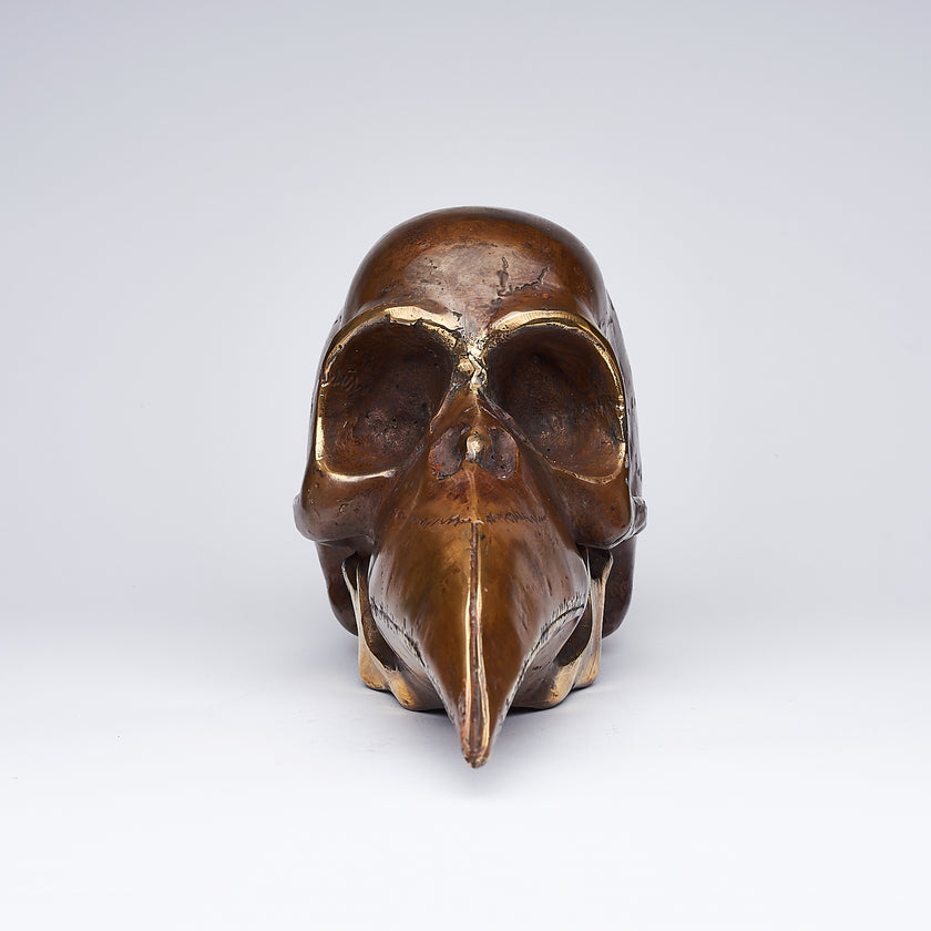 Mythical Dayak Bird Head Light Bronze M