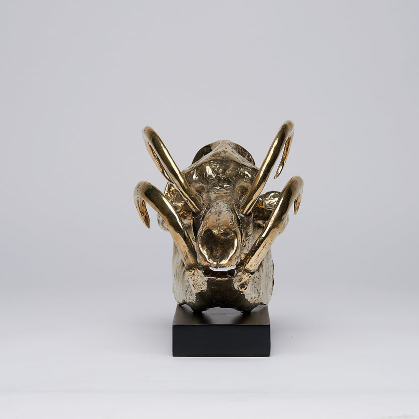 Babirusa Skull Polished Bronze
