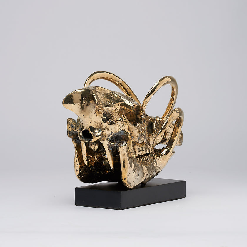 Babirusa Skull Polished Bronze