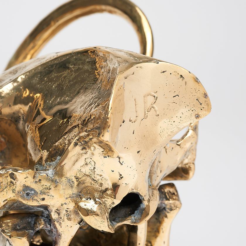 Babirusa Skull Polished Bronze