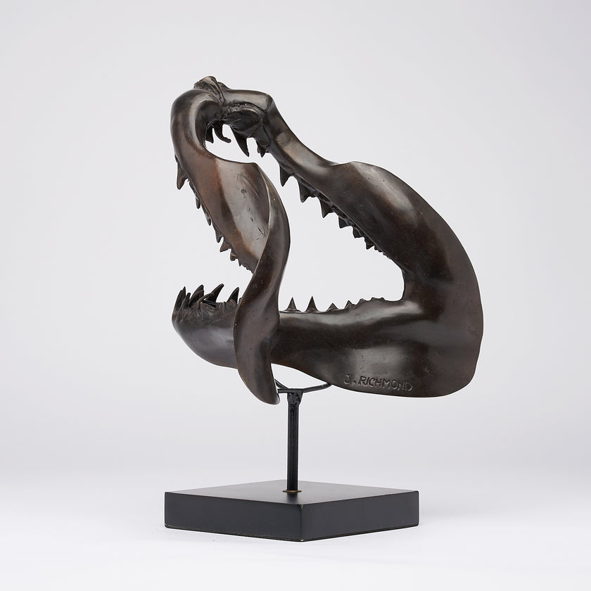 Shark Mako Jaw Brown