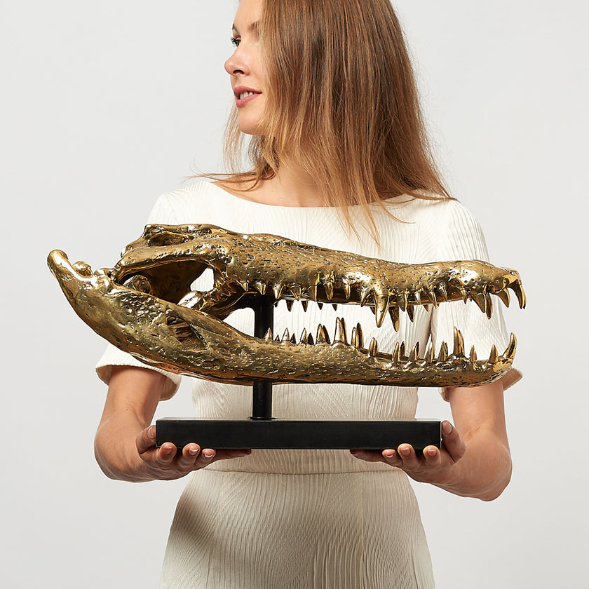 Crocodile Skull Saltwater Polished Bronze- Extra Large