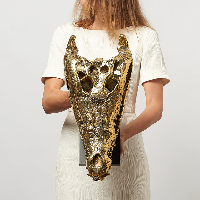 Crocodile Skull Saltwater Polished Bronze- Extra Large