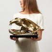 Polar Bear Skull Polished Bronze