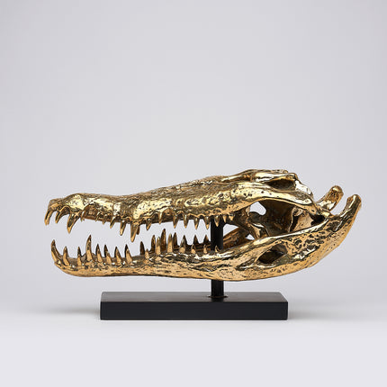 Crocodile Skull Saltwater Polished Bronze- Extra Large