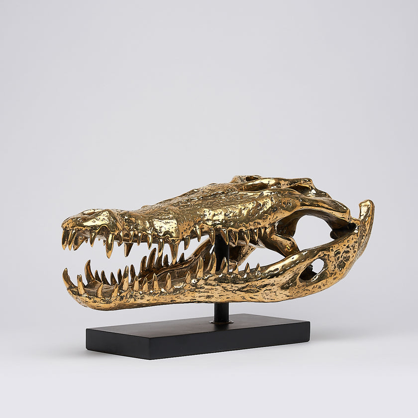 Crocodile Skull Saltwater Polished Bronze- Extra Large