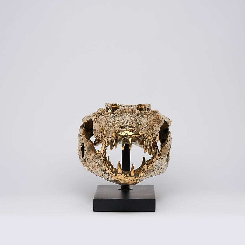 Crocodile Skull Saltwater Polished Bronze- Extra Large