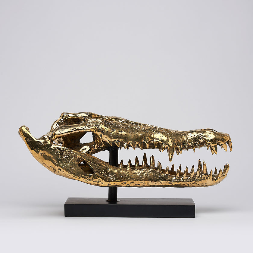 Crocodile Skull Saltwater Polished Bronze- Extra Large