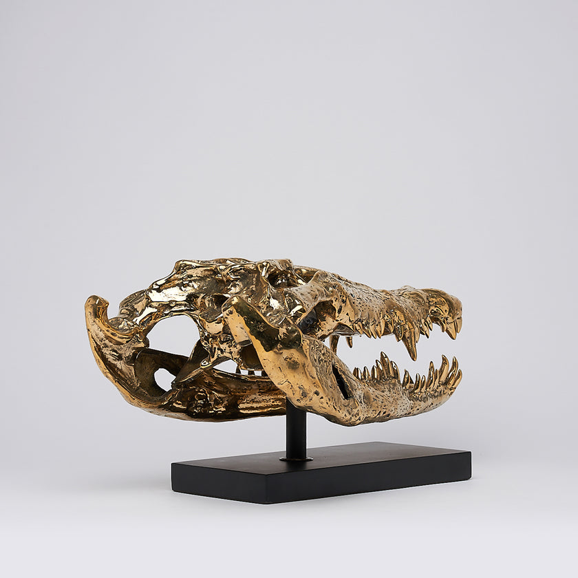 Crocodile Skull Saltwater Polished Bronze- Extra Large