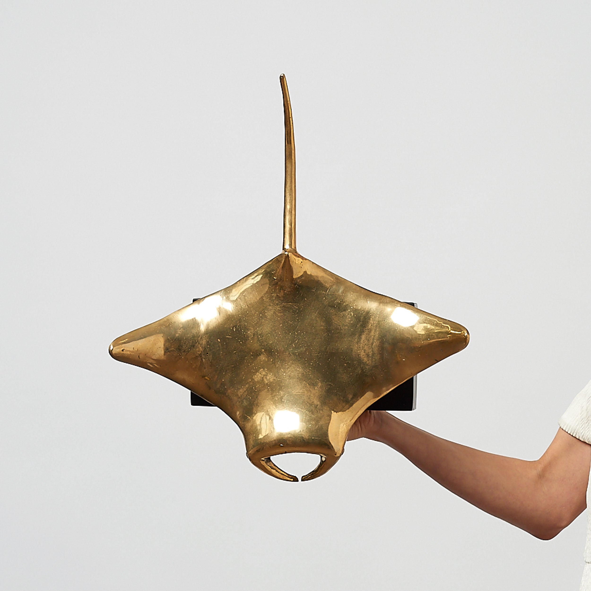 Manta Ray Polished  Bronze - Extra Large