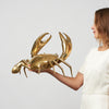 Crab Polished Bronze extra Large