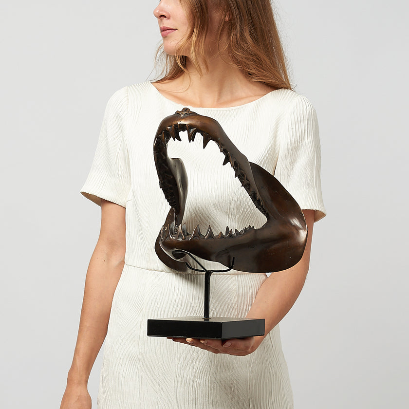 Shark Mako Jaw Brown