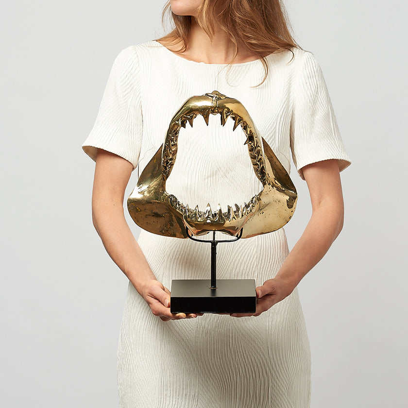Shark Mako Jaw Polished Bronze