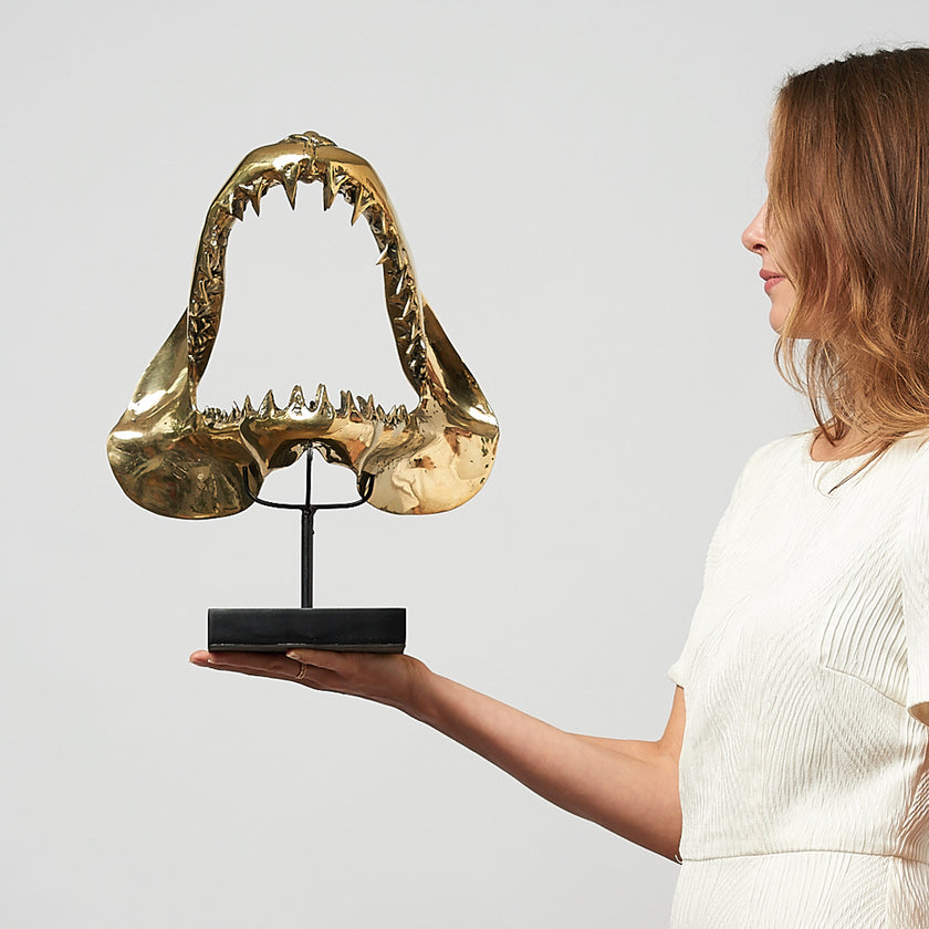 Shark Mako Jaw Polished Bronze