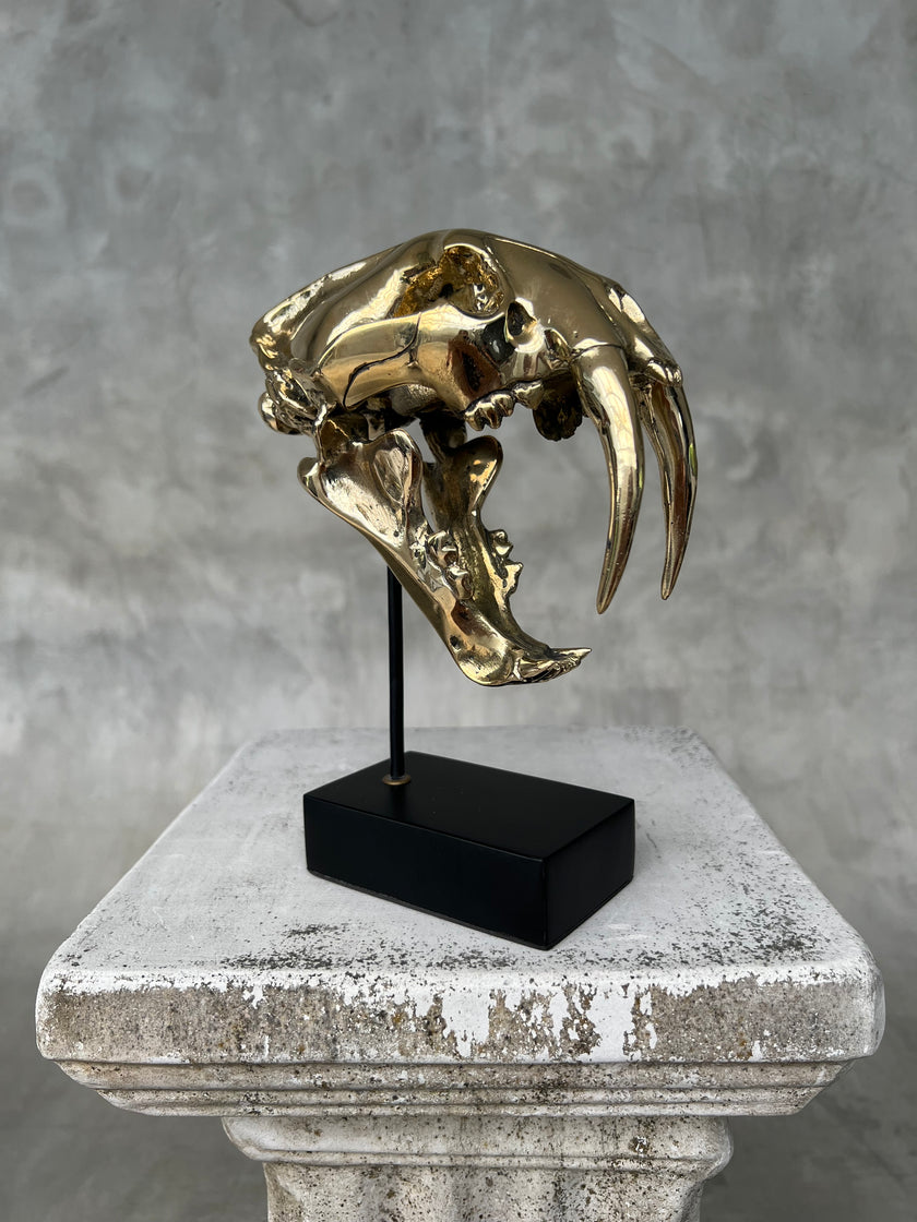 Saber Tooth TIger Polished Bronze Small