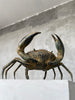 Crab Patinated Bronze - Medium