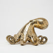 Octopus Polished Bronze - Medium