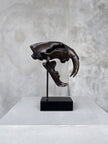 Saber Tooth TIger Bronze Small