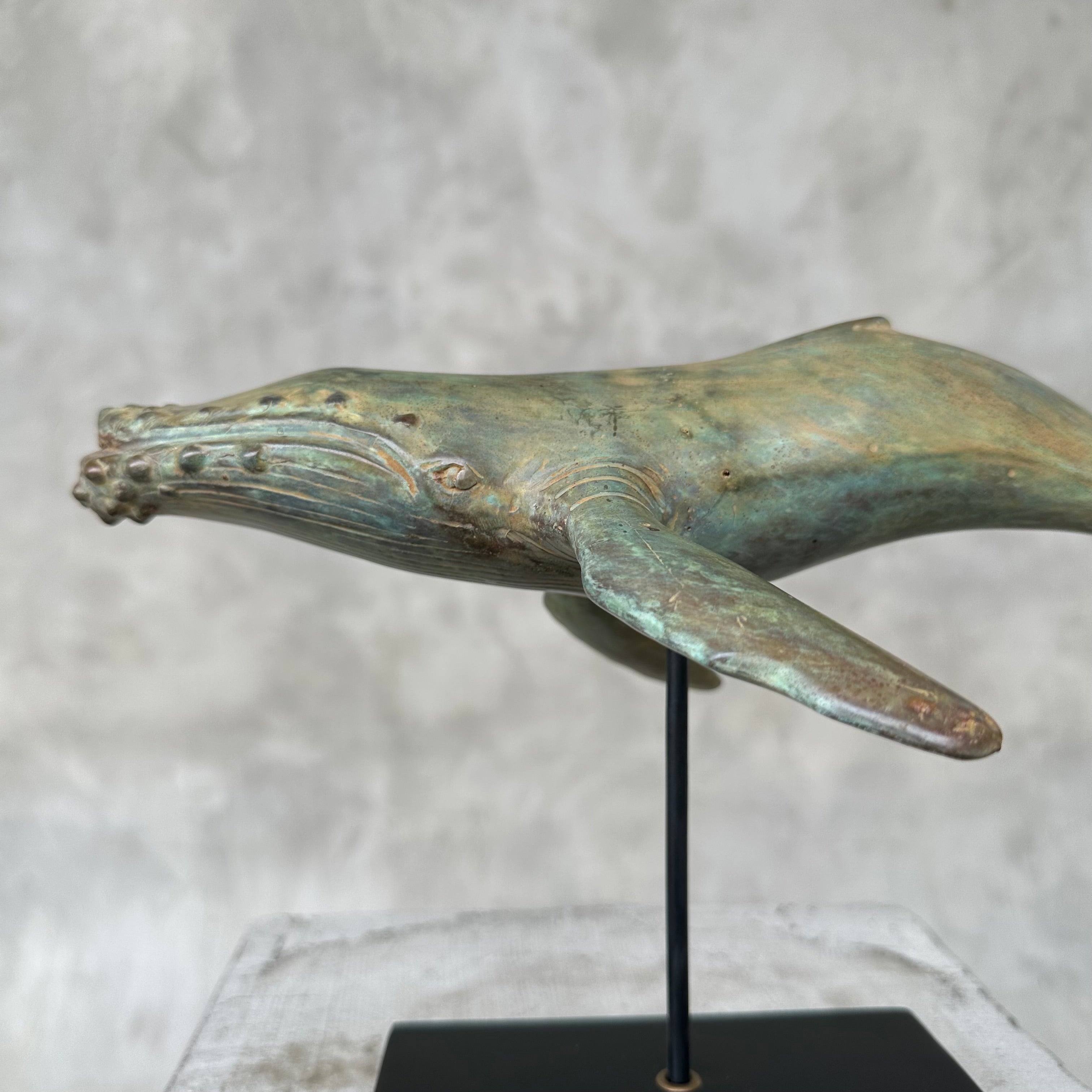 Blue Whale ATR Bronze