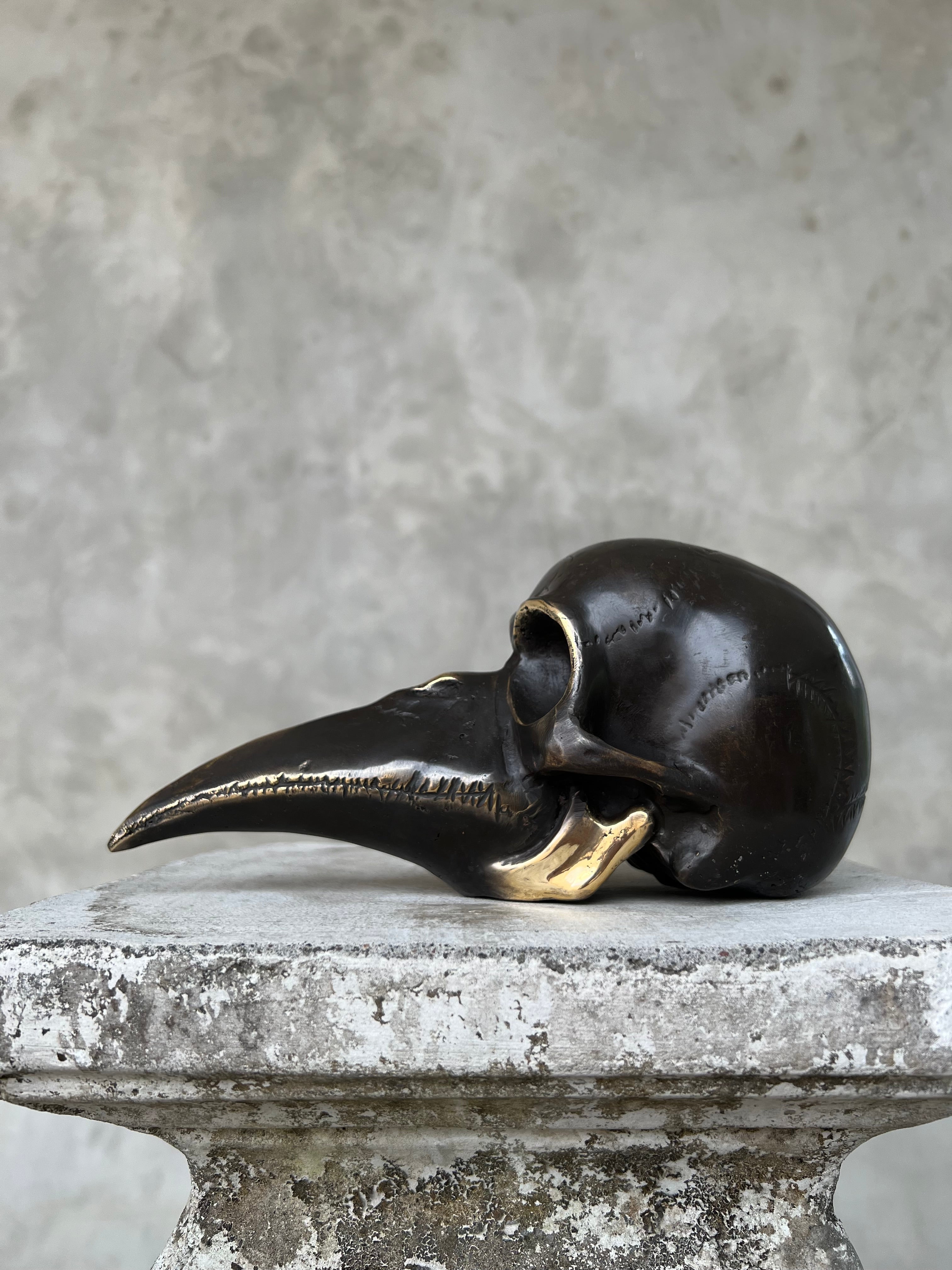 Mythical Dayak Bird Head Bronze with Polished Accents