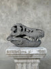 T-Rex Grey - RS006