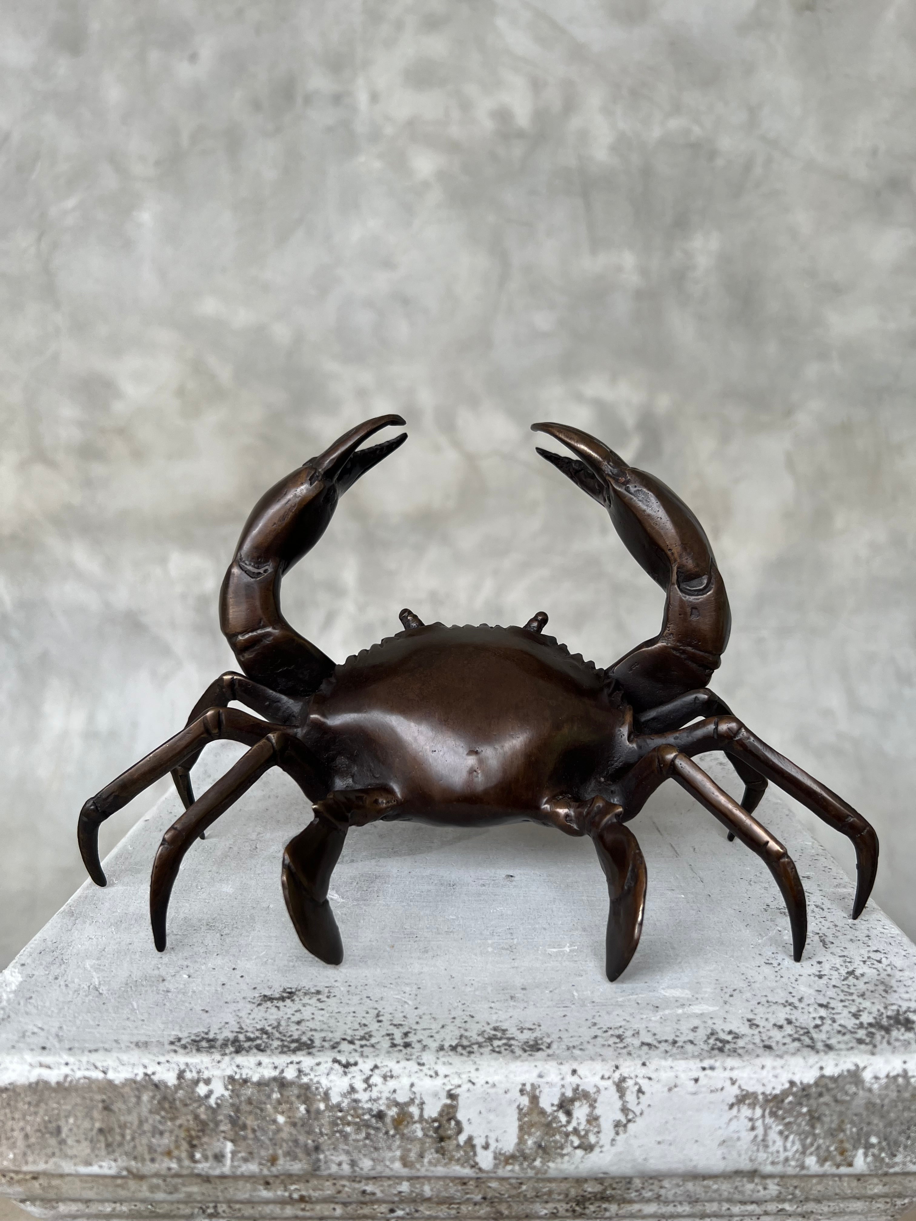 Crab Brown Bronze - S