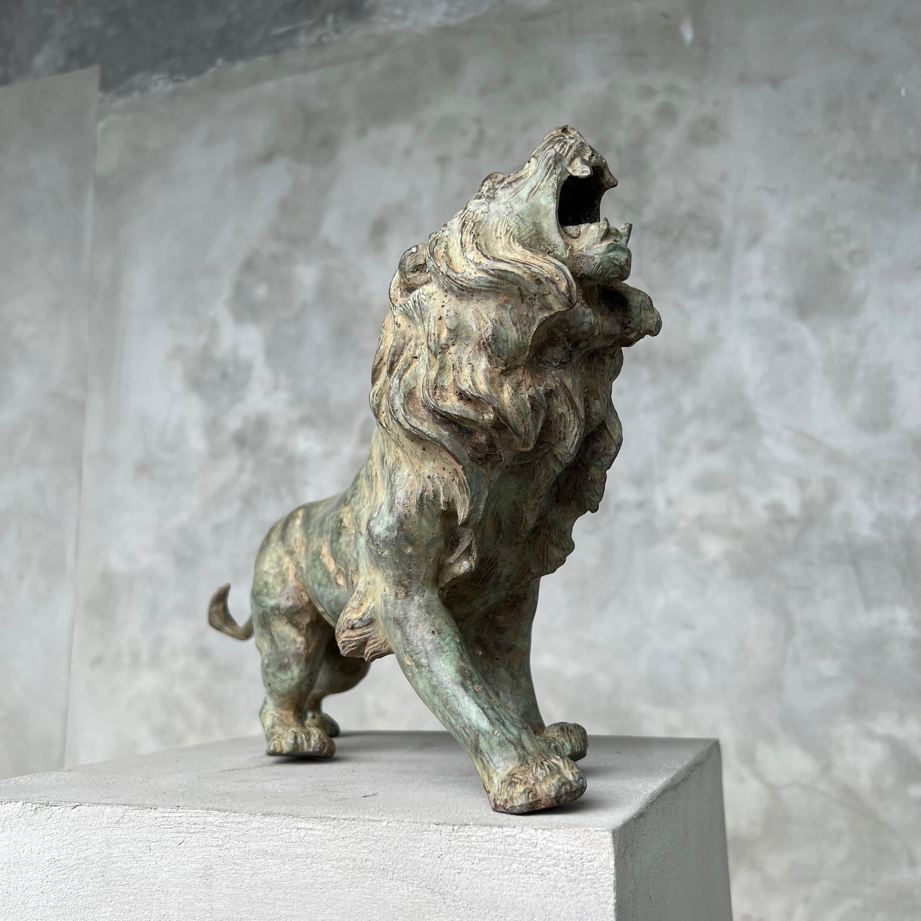 Lion Roaring Patinated Bronze - Large