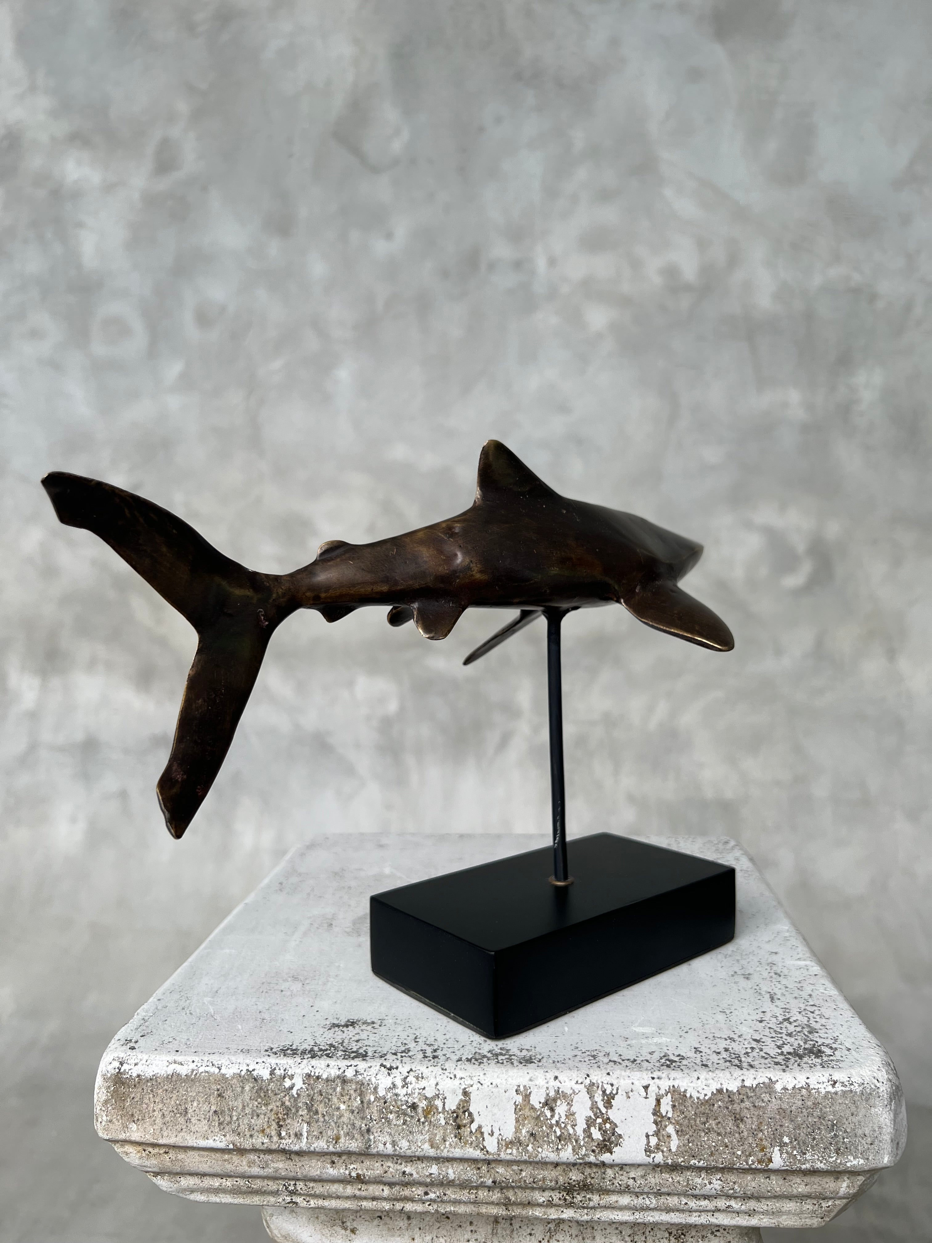 Great White Shart Brown Bronze on a Stand