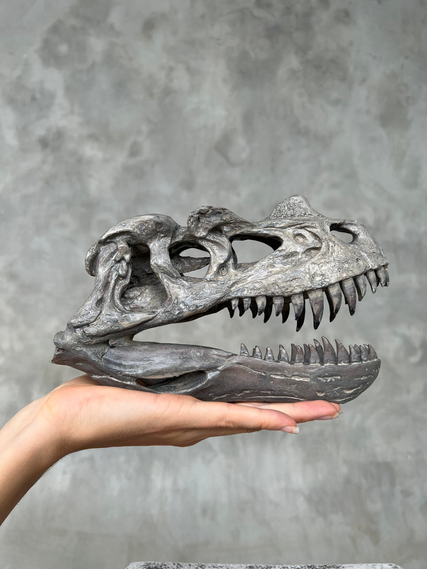 Ceratosaurus Grey - RS009