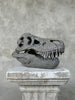 T-Rex Grey - RS006