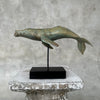 Blue Whale ATR Bronze