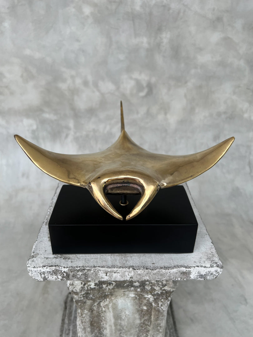Manta Ray Polished - Medium Large