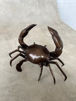 Crab Brown Bronze - S