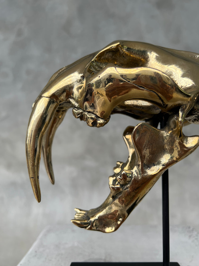 Saber Tooth TIger Polished Bronze Small