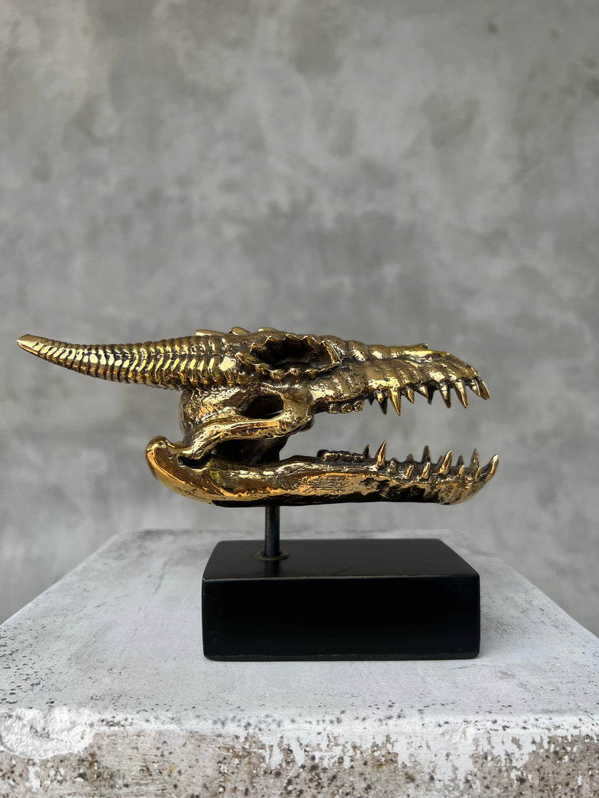 Dragon Skull Small