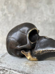 Mythical Dayak Bird Head Bronze with Polished Accents