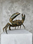 Crab Patinated Bronze - Medium