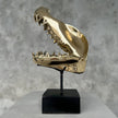 Shark Mako Jaw Polished Bronze - Medium