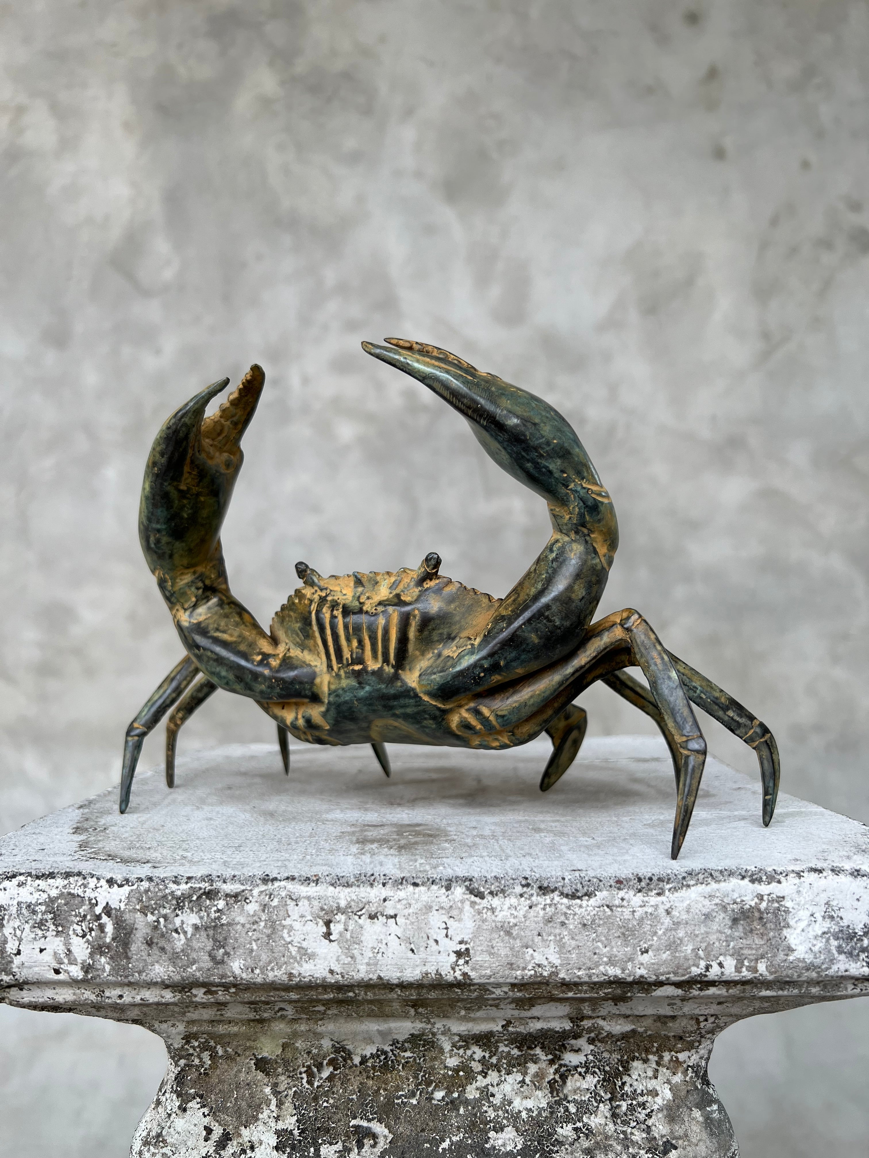 Crab Patinated Bronze  - S