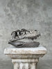 Ceratosaurus Grey - RS009