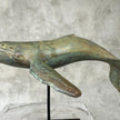 Blue Whale ATR Bronze