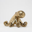 Octopus Polished Bronze - Medium