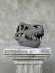 T-Rex Grey - RS006