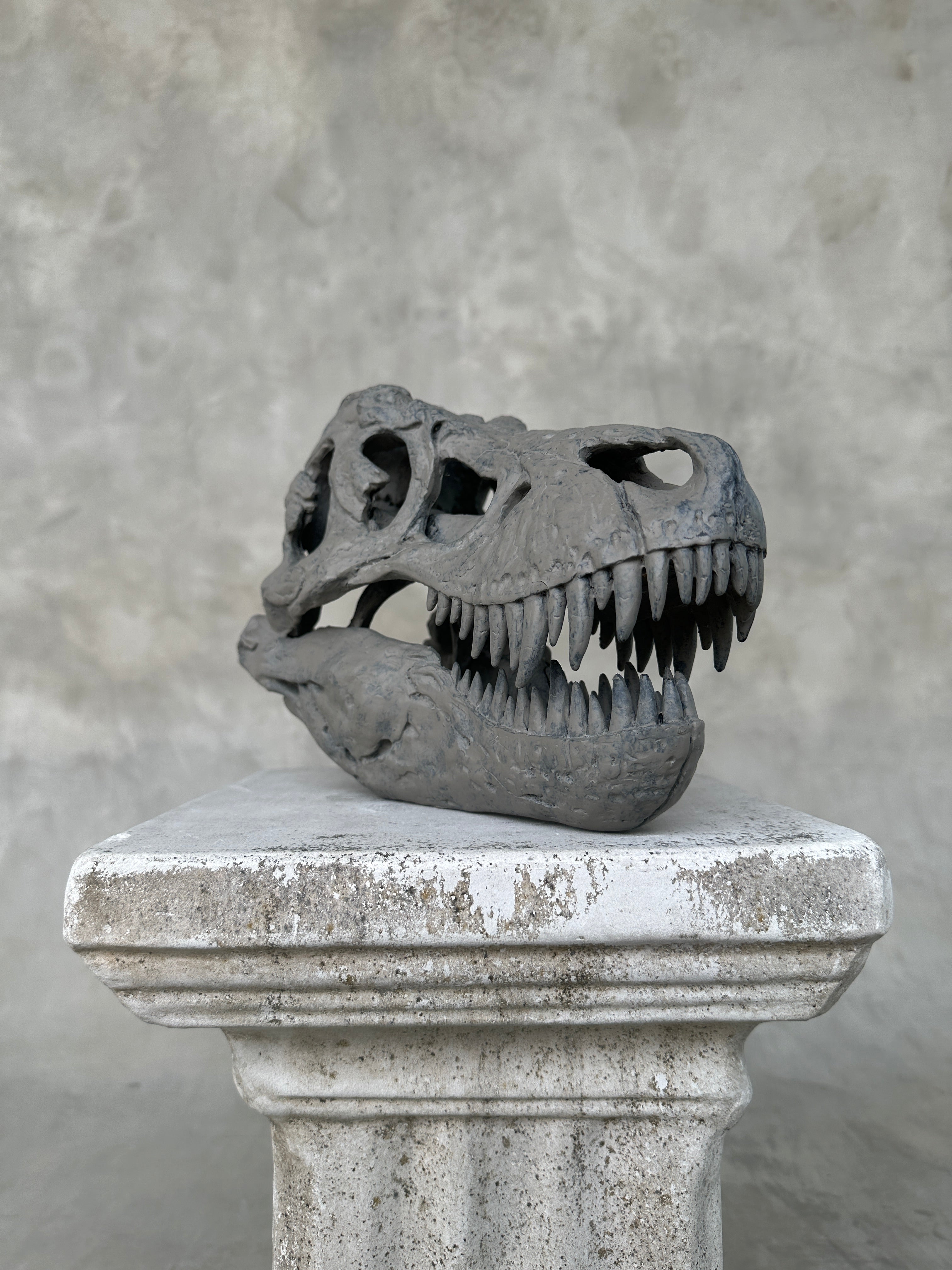 T-Rex Grey - RS006
