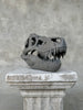 T-Rex Grey - RS006