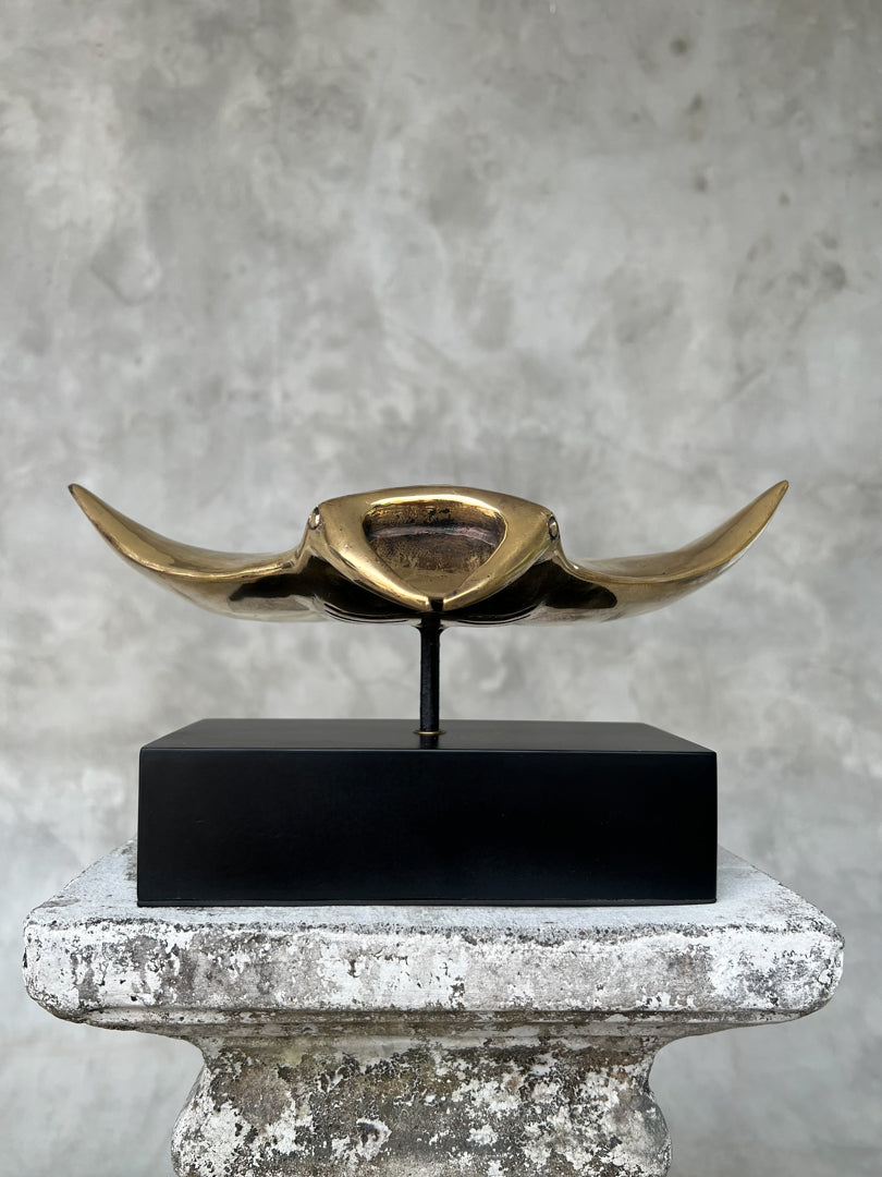 Manta Ray Polished - Medium Large