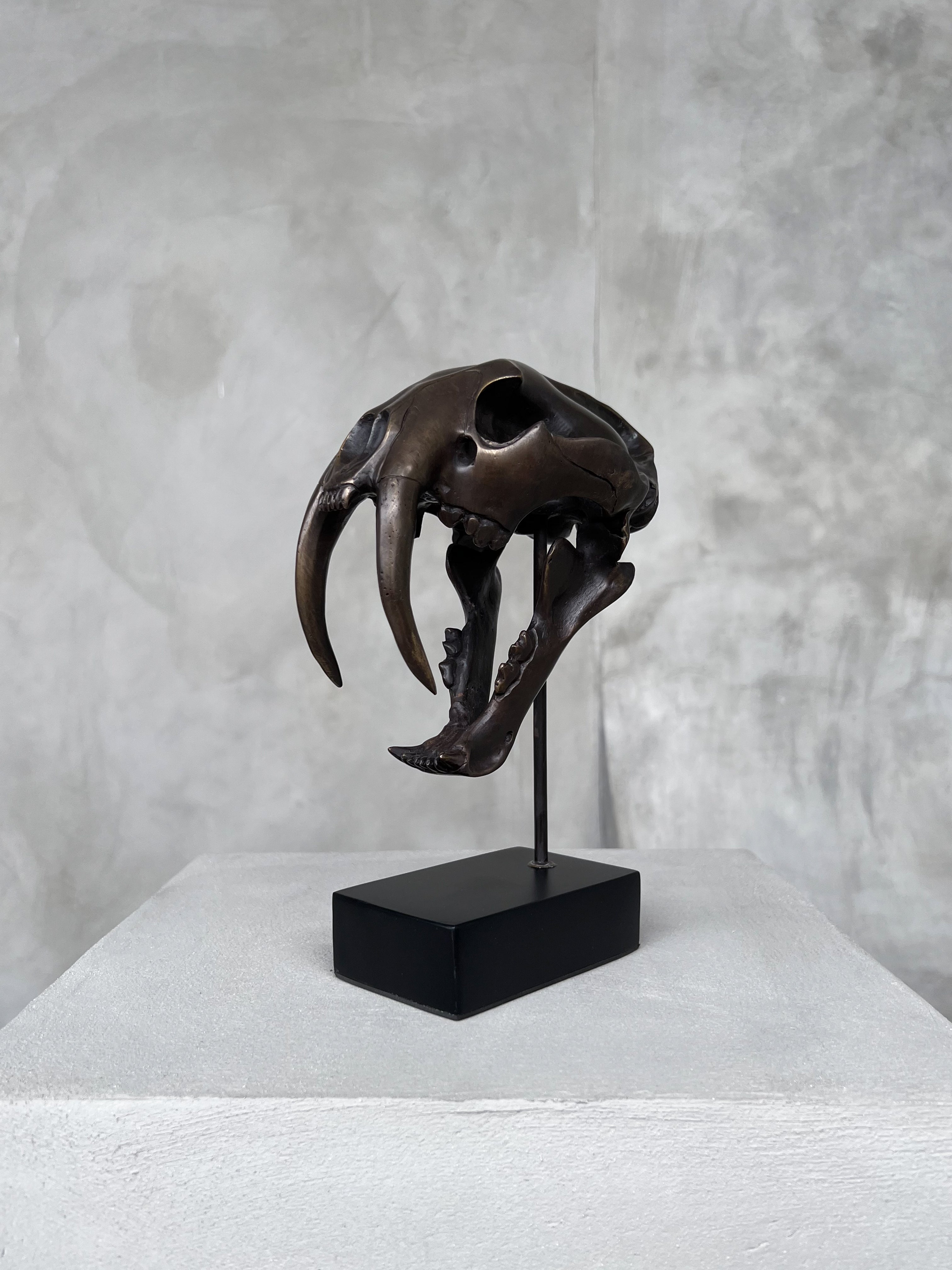 Saber Tooth TIger Bronze Small