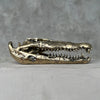 Crocodile Polished Bronze - S