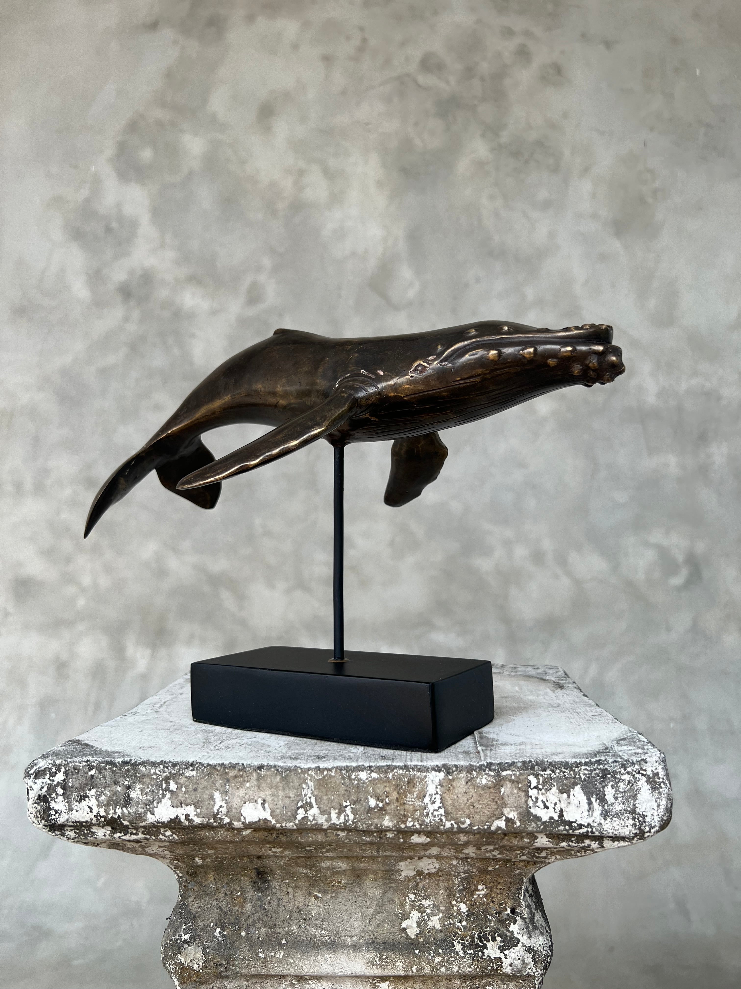 Blue Whale Tiger Patina Bronze