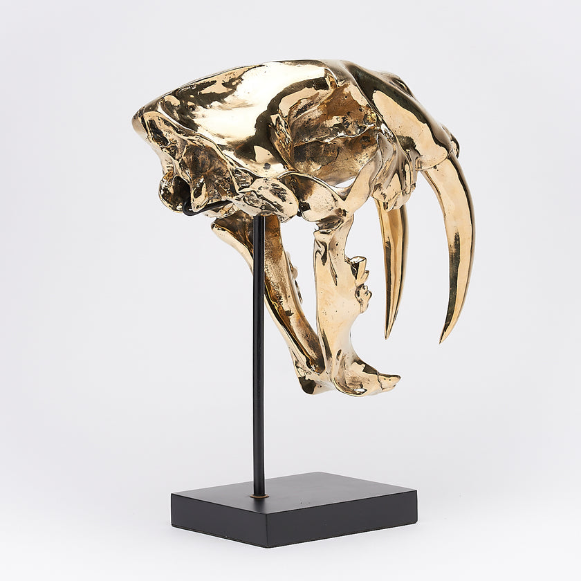 Sabretooth Tiger Polished Bronze on a Stand - Large
